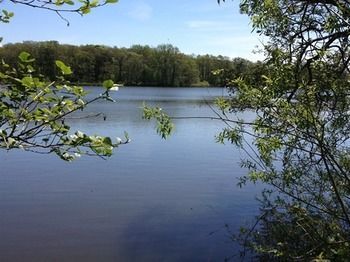 Cleveley Mere Luxury Waterside Lodges Scorton  Екстер'єр фото